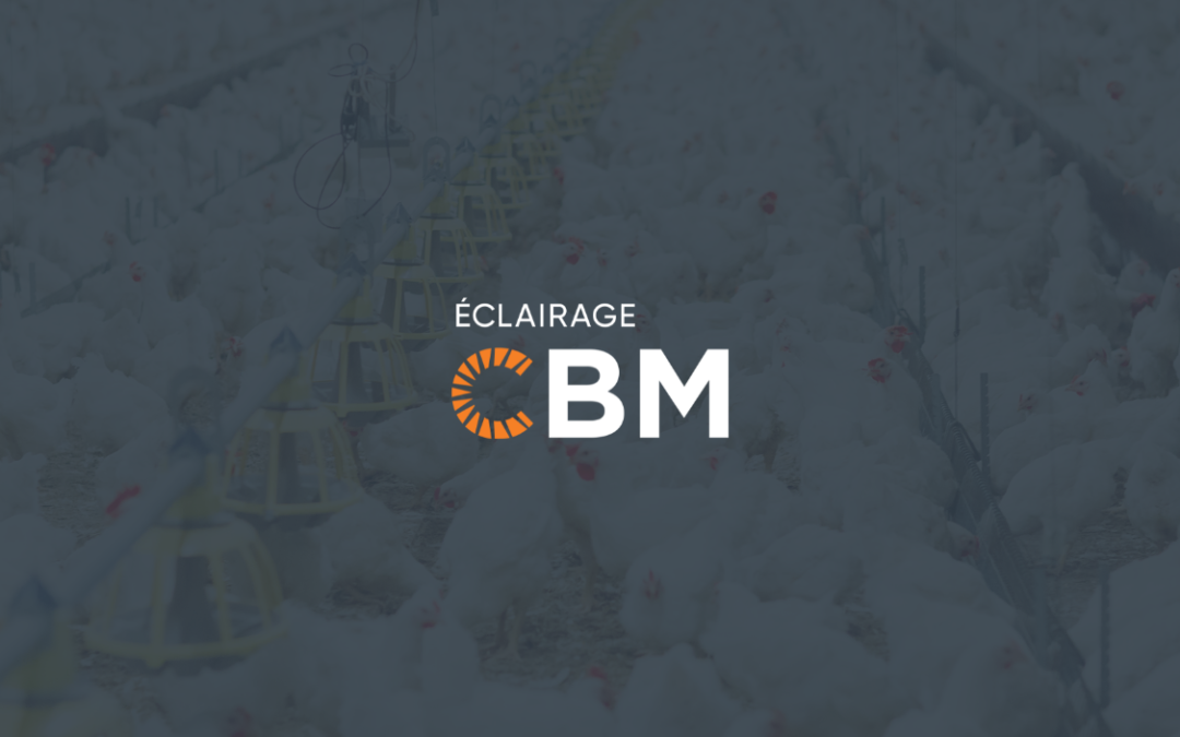 Éclairage CBM