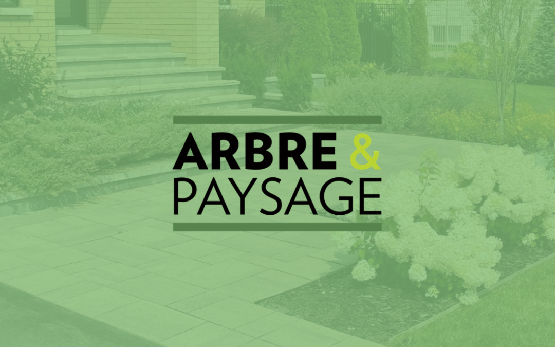 Arbre et Paysage